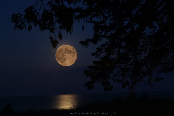 Луна вечером