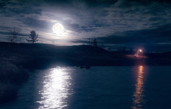 Ночная природа