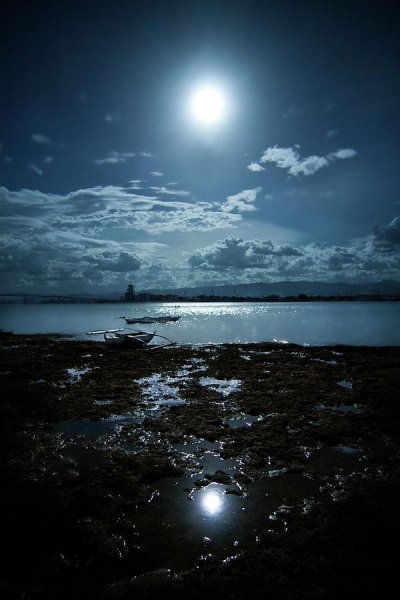 Лунная ночь