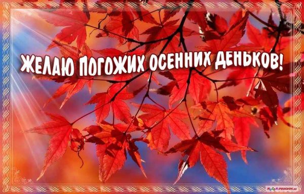 Открытка осенние каникулы