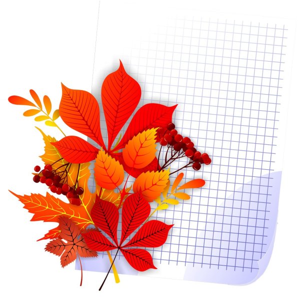 Осень день знаний