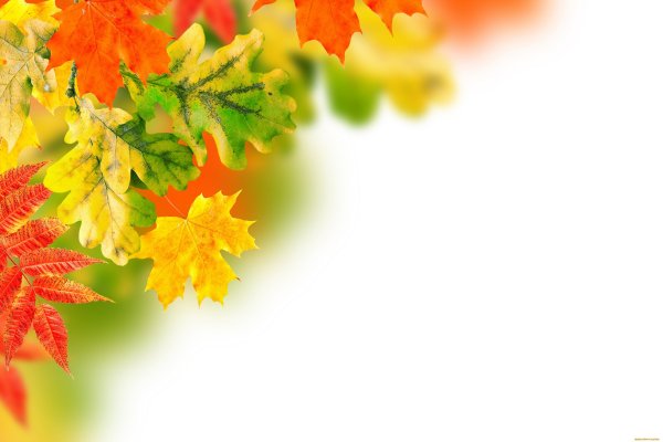 Осенний фон для презентации