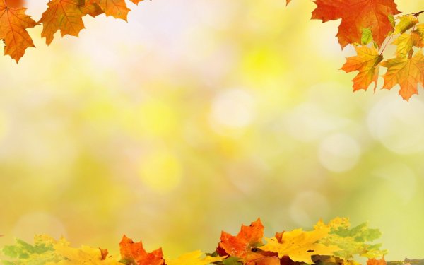 Фон для презентации осень