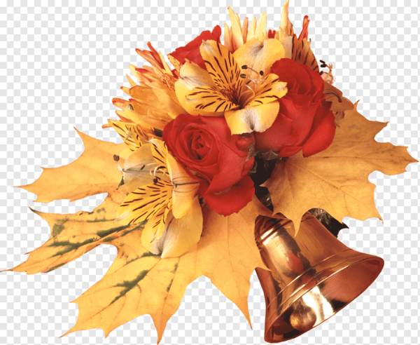 Колокольчик листья