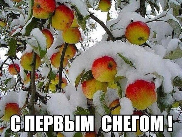 Поздравление с первым снегом