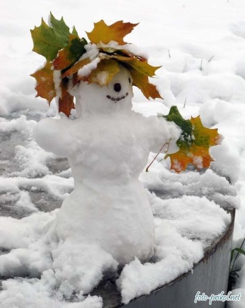 Первый снег