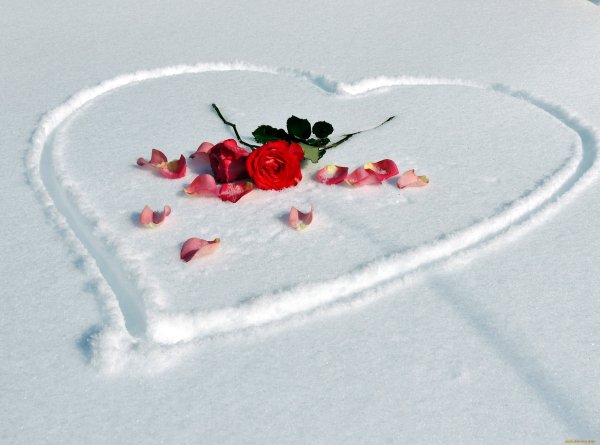 Сердце на снегу