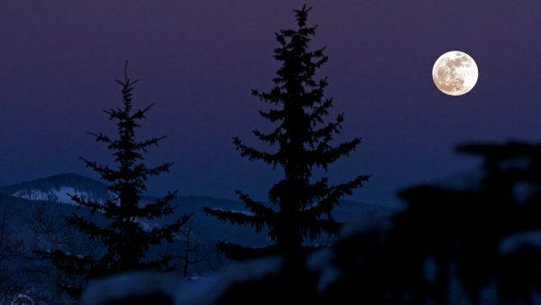 Луна и снег