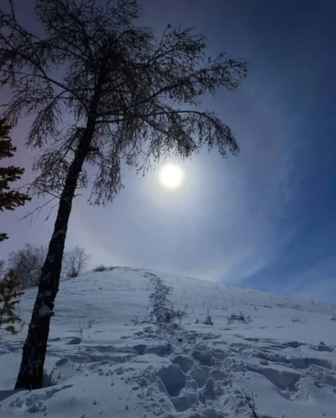 Снежное полнолуние