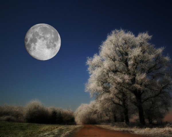 Зимняя Луна