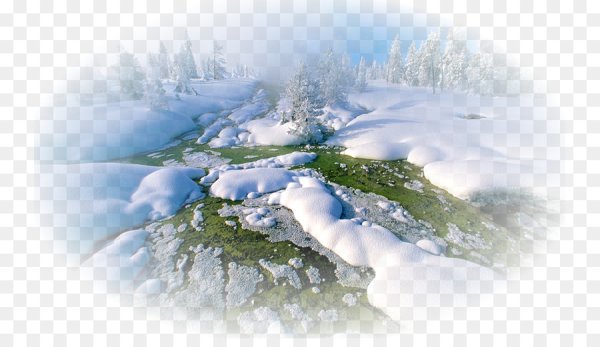 Зимняя природа на прозрачном фоне