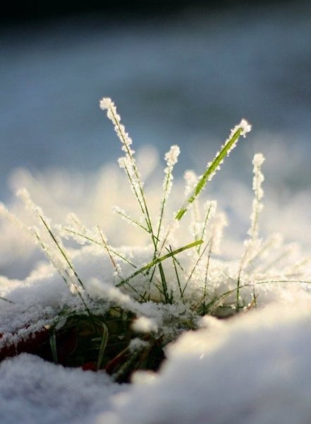 Приближение весны