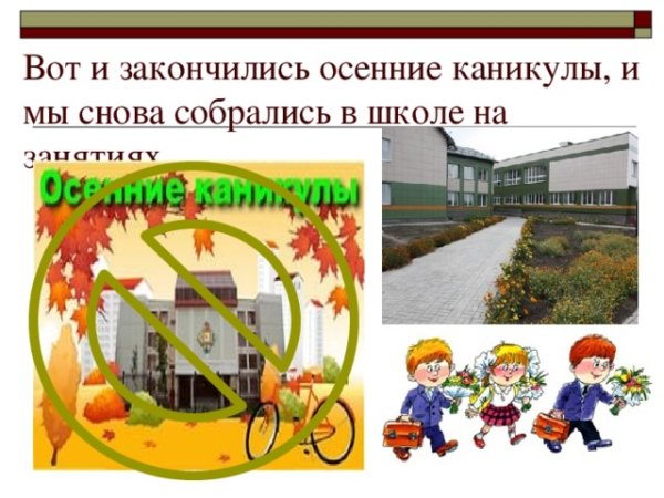 Вот и закончились осенние каникулы