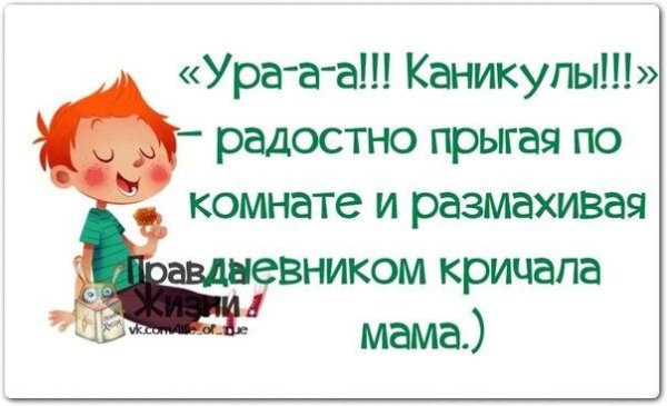 Смешные высказывания про школу