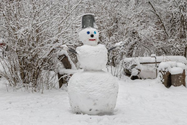 Снеговик во дворе