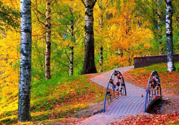 Череповец парк осенью