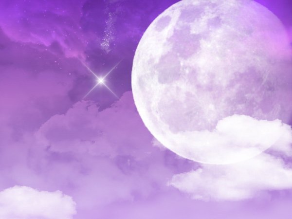 Сиреневые звезды