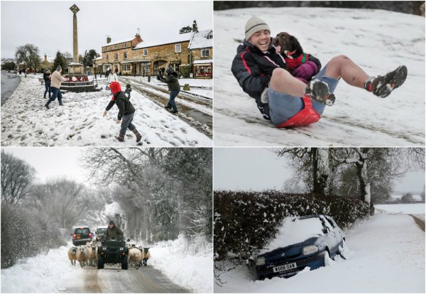 Неожиданная зима