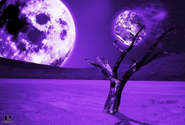 Луна на фиолетовом фоне