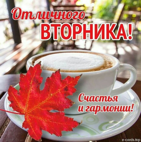 С добрым осенним утром вторника