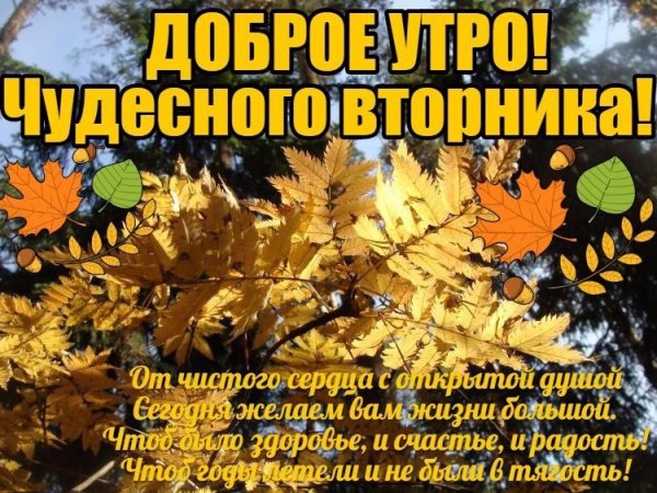 День 19 октября праздники