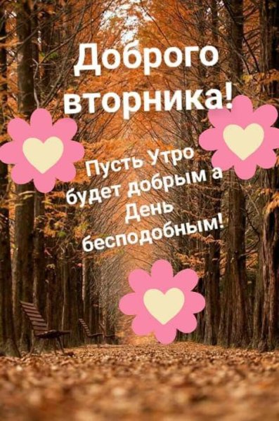 Доброе осеннее утро вторника