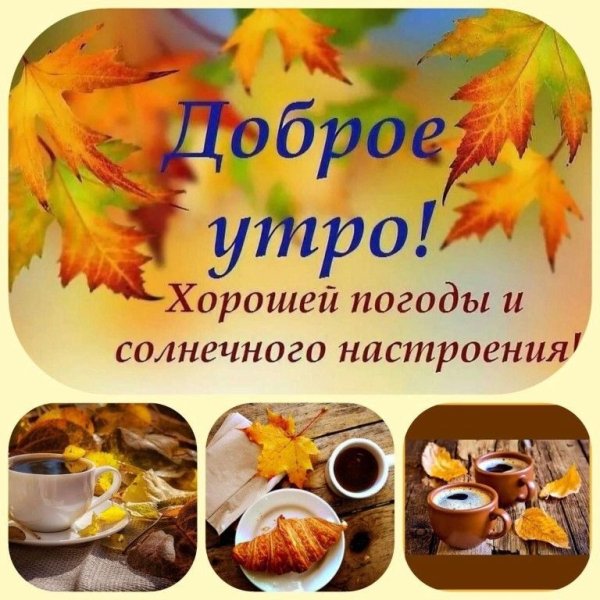 Доброго осеннего утра и хорошего дня