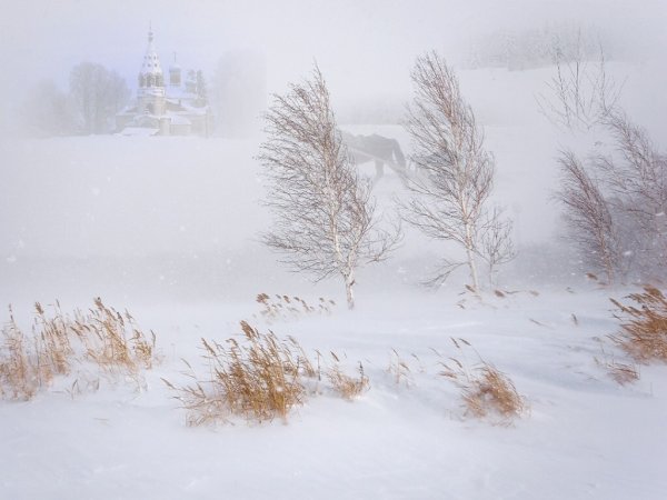 Метель зимой