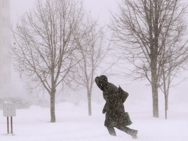 Сильный ветер зимой