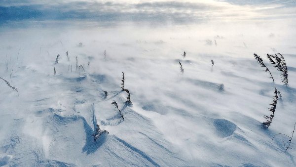 Снежный Буран