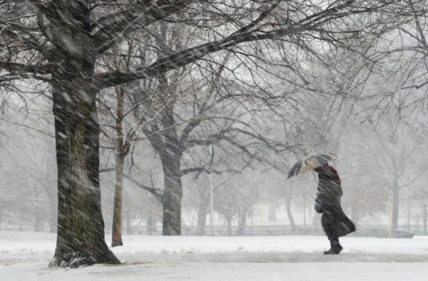 Сильный ветер зимой
