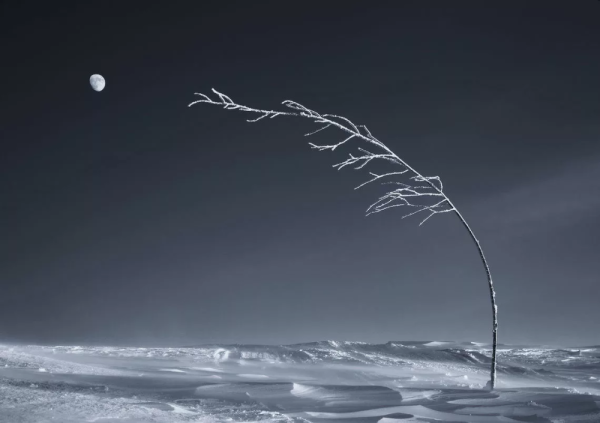 Одинокий ветер