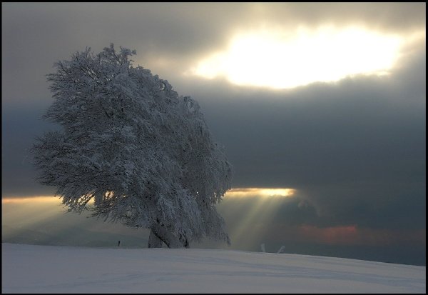 Снежный ветер