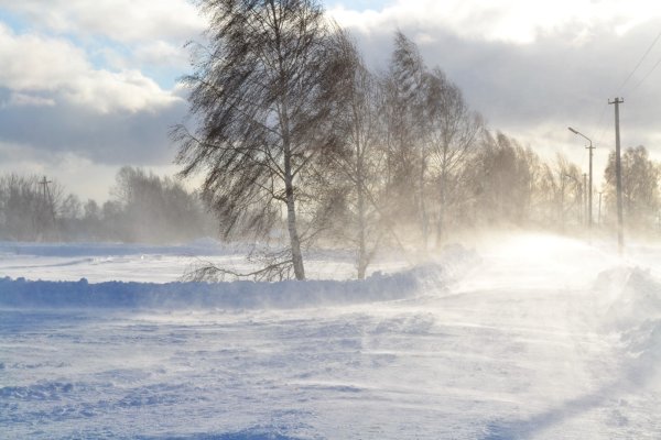 Метель Морозы вьюги в декабре