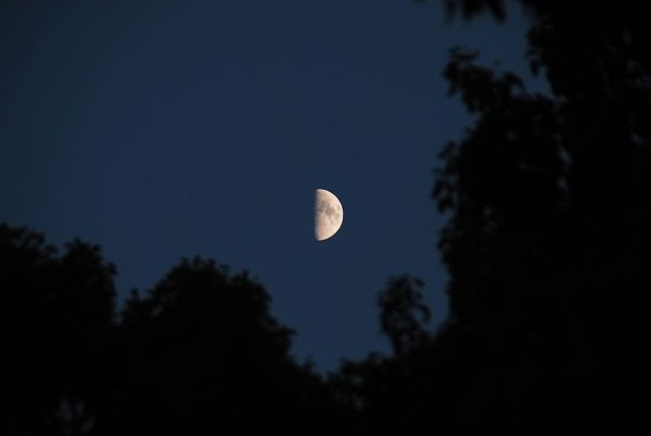 Половина Луны