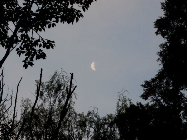 Половина растущей Луны