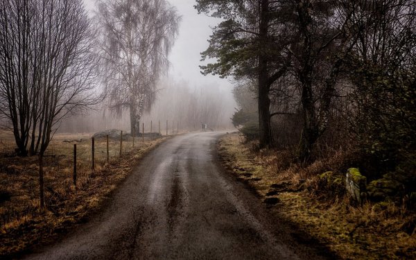 Пасмурный день