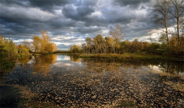 Пасмурный осенний день