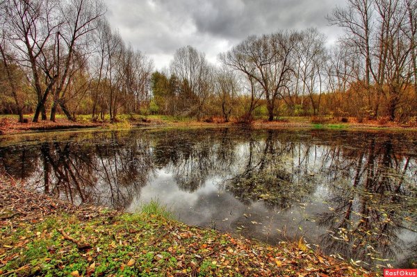 Хмурая осень фото