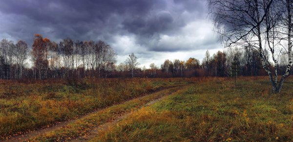 Поздняя хмурая осень