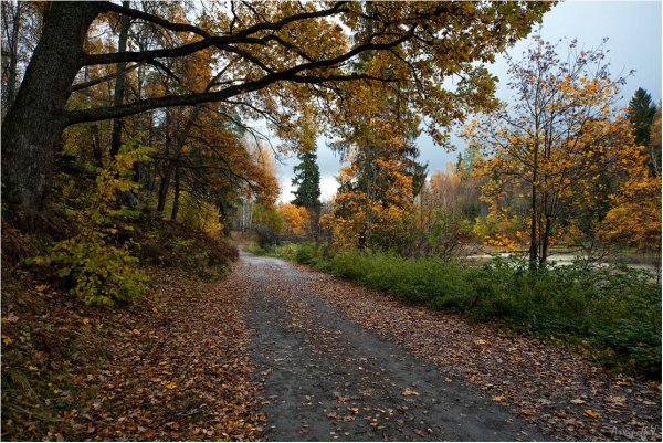 Осенний день