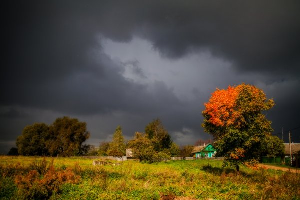 Перед грозой