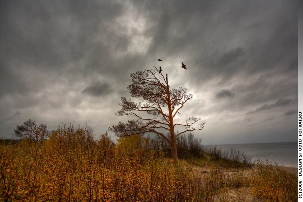 Хмурая осень