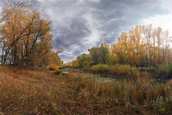 Пасмурный осенний день