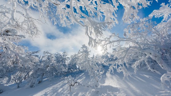 Картинки зима снег