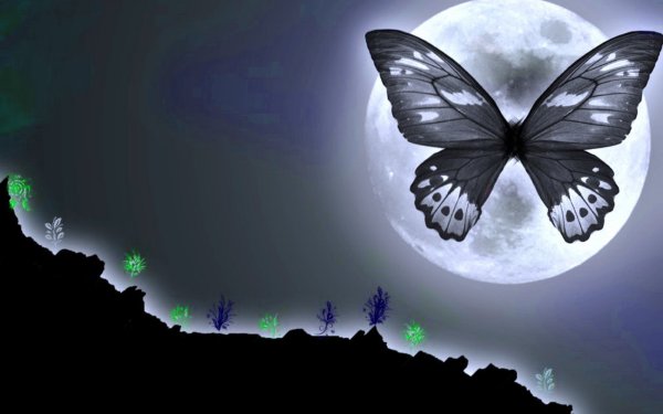 Бабочка Луна
