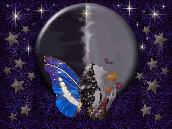Бабочка и полнолуние