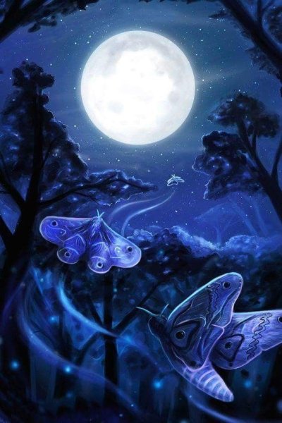 Бабочка Луна