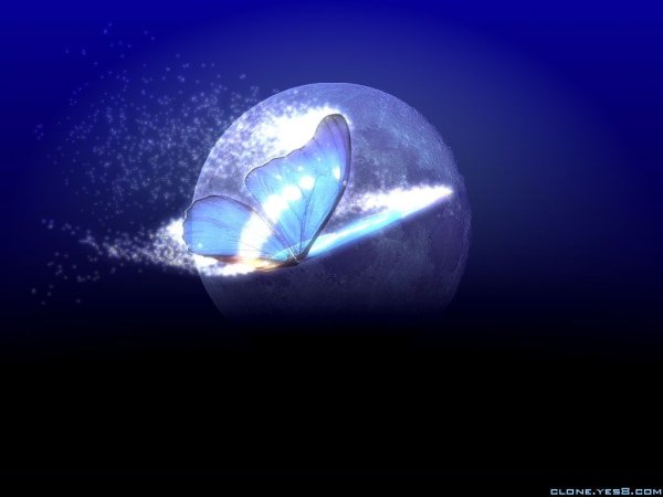 Светящийся кокон