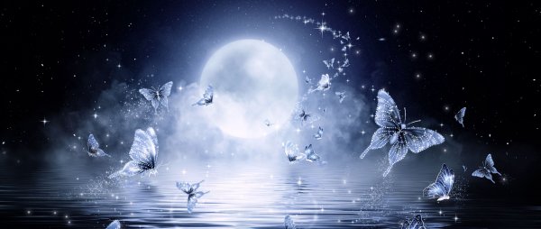 Ночь бабочки Луна